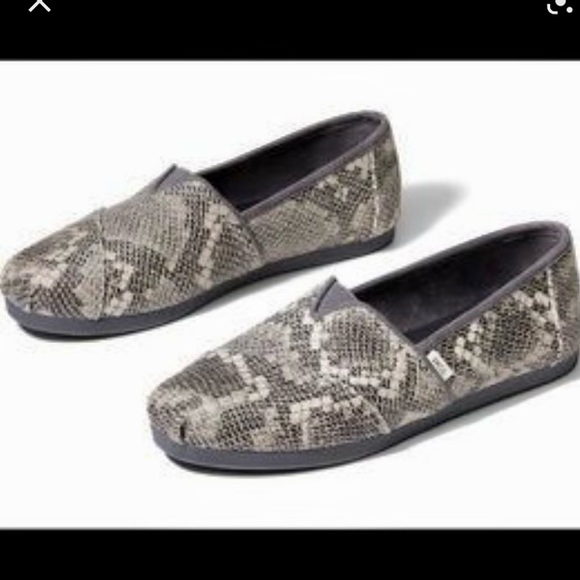 Toms Shoes - NEW Toms classic multi faux snake slip on shoes